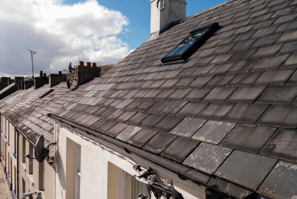 Roof tiles on a terrace row of houses.